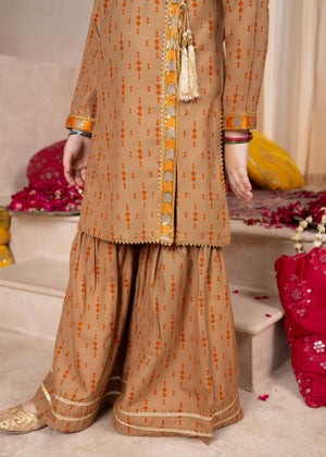 Elegant Brown Anarkali Kurti & Printed Trousers Set β Daisy Outfit Winter Collection