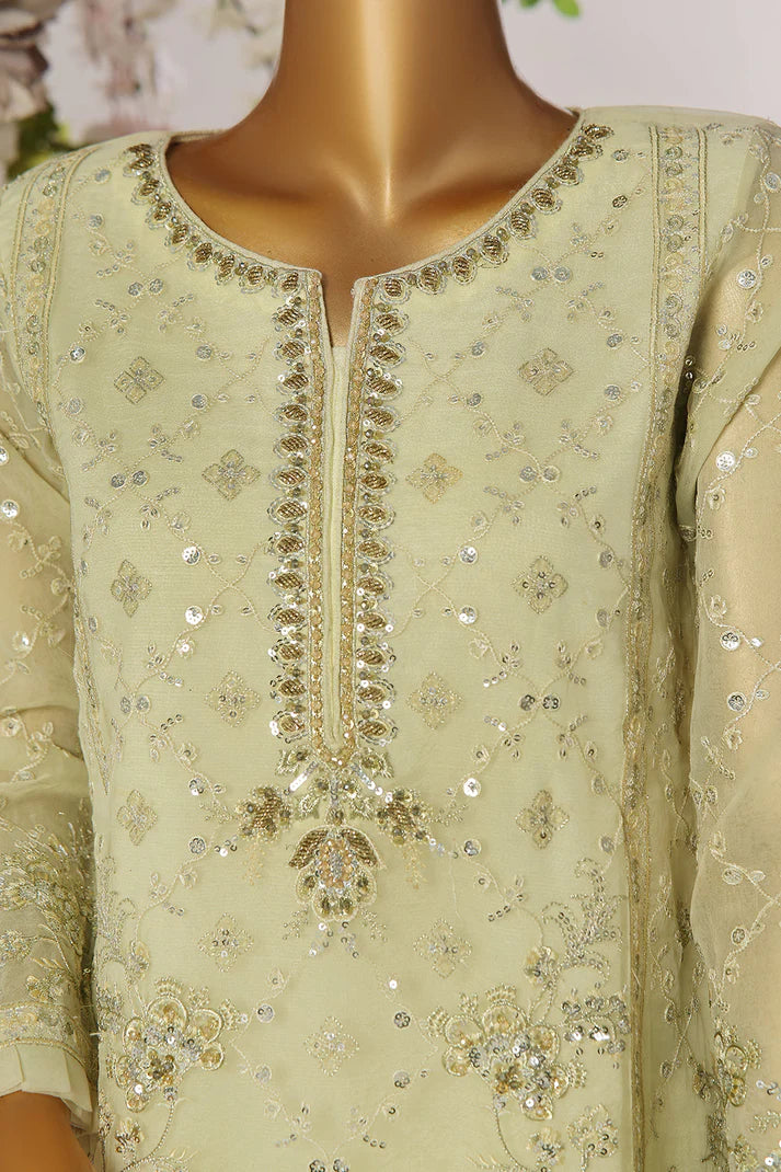 ORGANZA HAND EMBROIDERED 3 PIECE DRESS