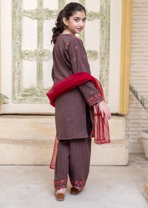 Brown Embroidered Khaddar Straight-Cut Kurta with Shalwar & Net Dupatta – 3 Piece Winter Wear