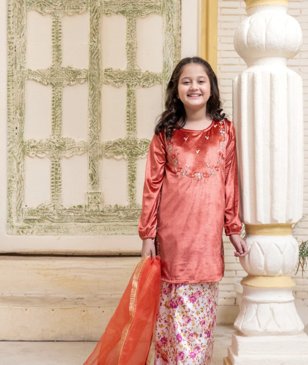 3 Piece Velvet Festive/Party Wear in Kurti Style