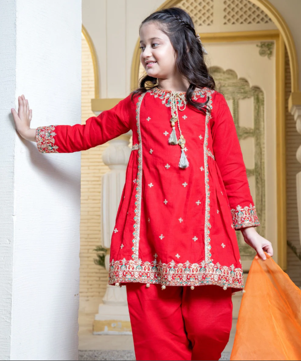 3 Piece Festive/Party Wear Dress