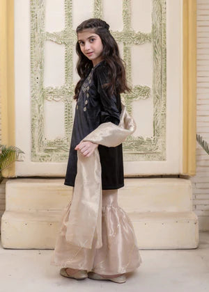 EMBROIDERED VELVET STITCHED 3 PIECE KIDS GARARA DRESS