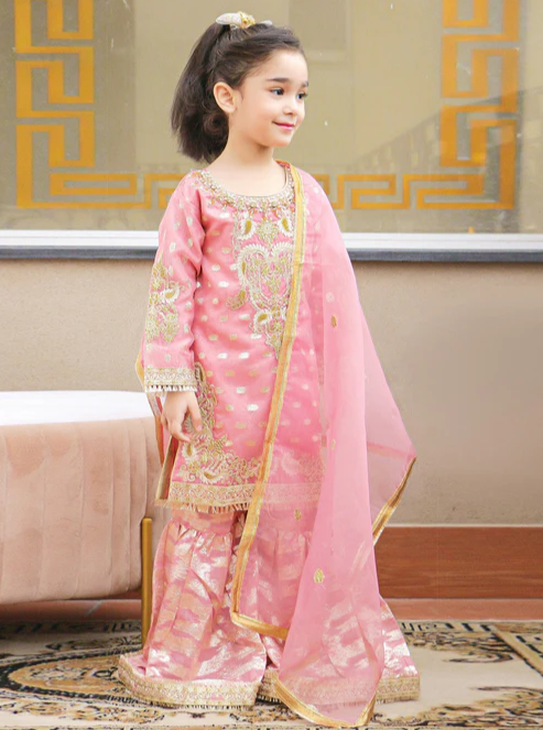 3 Piece Organza Wedding/Guest Wear - Formal