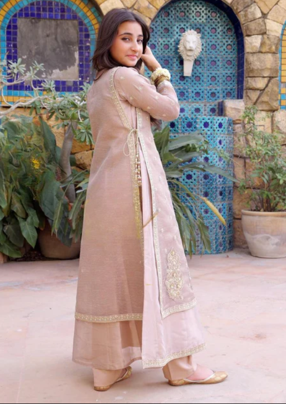 3 Piece Khaddi Net Shabnam Zari Festive/Party Wear