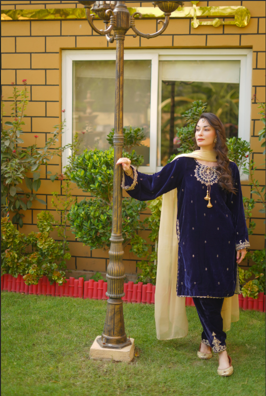 EMBROIDERED VELVET STITCHED 3 PIECE DRESS