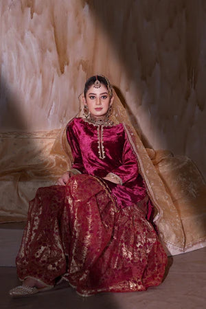 EMBROIDERED VELVET STITCHED 3 PIECE GARARA DRESS