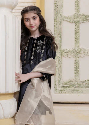EMBROIDERED VELVET STITCHED 3 PIECE KIDS GARARA DRESS