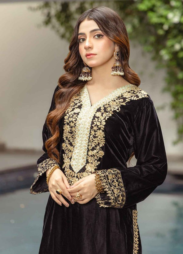 Velvet Elegance – Embroidered Front, Back & Sleeves with Organza Dupatta - Modest fashion for Australian Pakistani, Indian