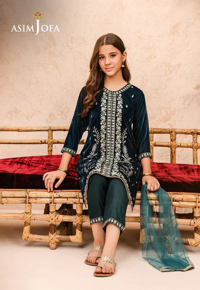 EMBROIDERED VELVET 3 PCS DRESS
