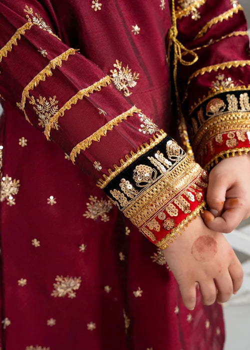EMBROIDERED ANGRAKHA 3 PIECE KIDS DRESS