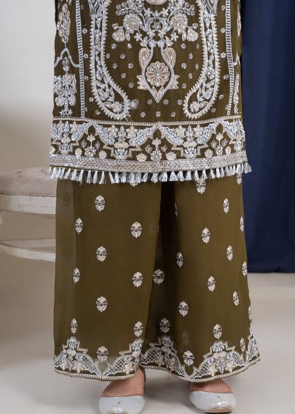 Silver Radiance Chiffon Ensemble