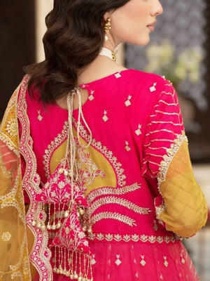 Blush Pink Organza Pishwas with Raw Silk Trousers