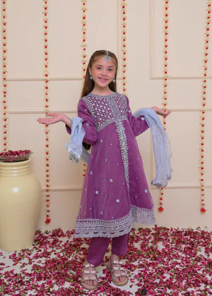EMBROIDERED ORGANZA STITCHED 3 PIECE DRESS