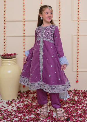 EMBROIDERED ORGANZA STITCHED 3 PIECE DRESS