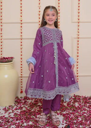 EMBROIDERED ORGANZA STITCHED 3 PIECE DRESS