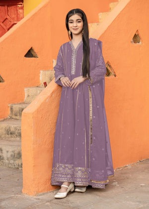 Radiant Glam Chiffon Kalidar with Sitara Detailing