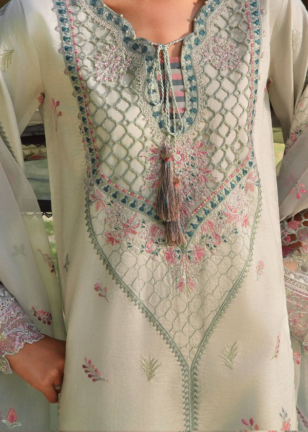 Ethereal Embroidery – Organza Dupatta 3-Piece Suit