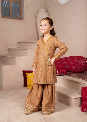 Elegant Brown Anarkali Kurti & Printed Trousers Set – Daisy Outfit Winter Collection