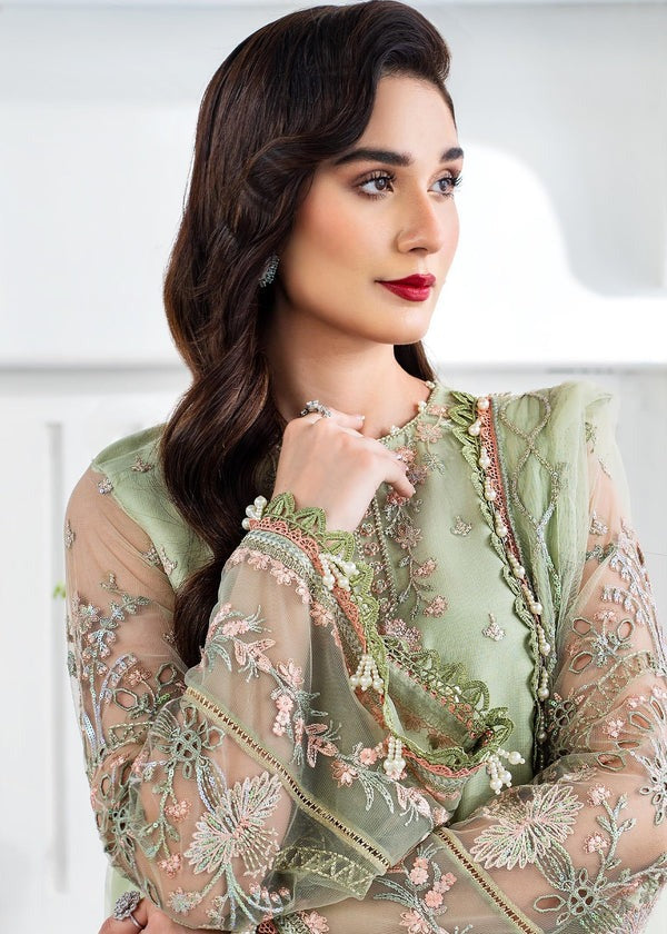 Elegance in Every Thread – Premium Net Embroidered Ensemble