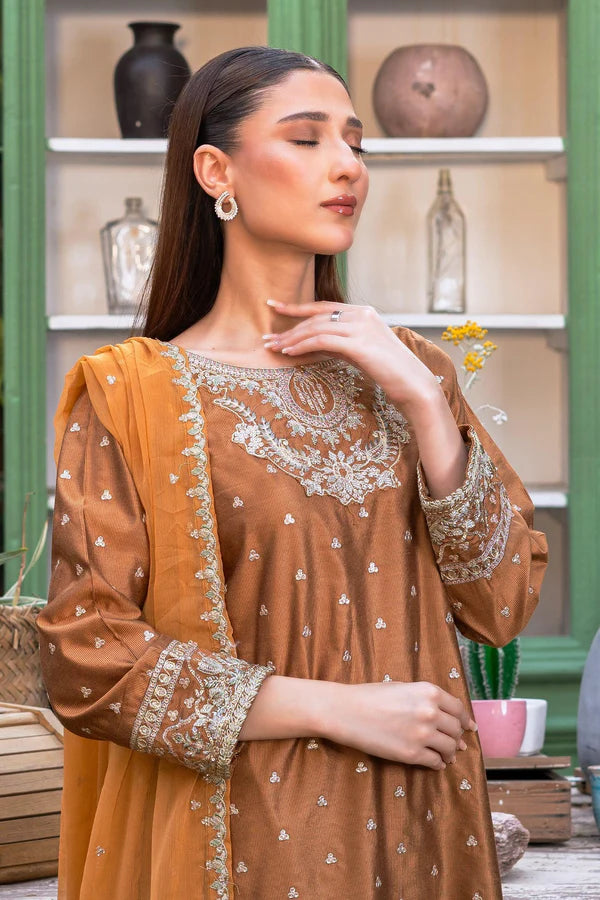 3PC - Embroidered Yarn Dyed Cotton Net Suit