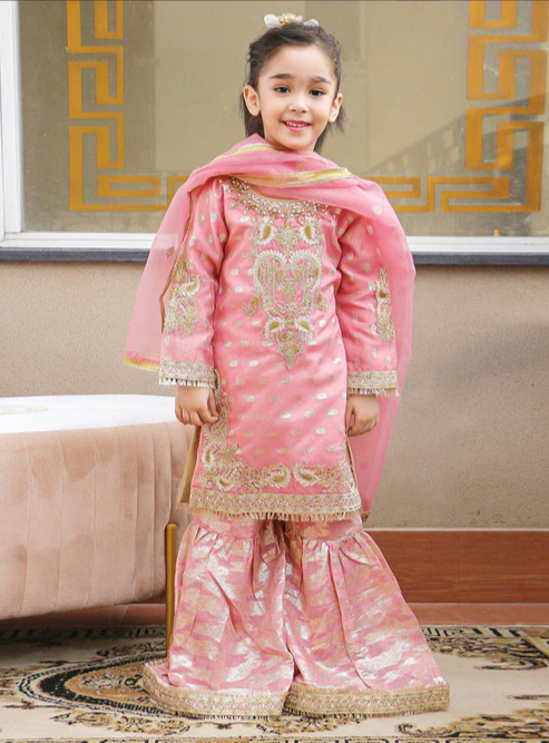 3 Piece Organza Wedding/Guest Wear - Formal