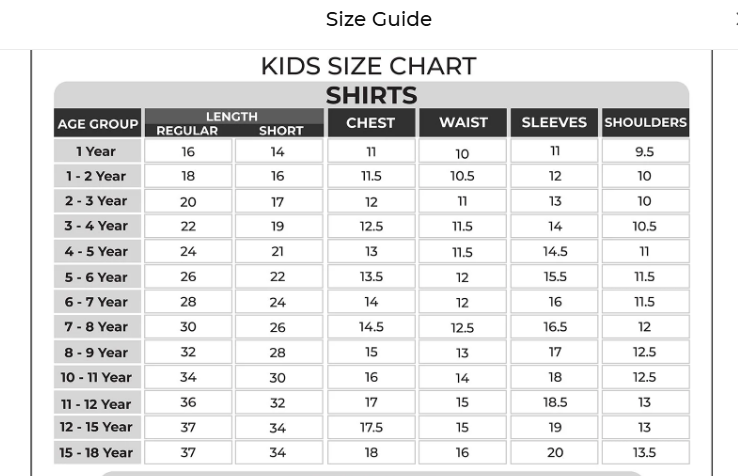 EMBROIDERED SHIFFON STITCHED 3 PIECE KIDS