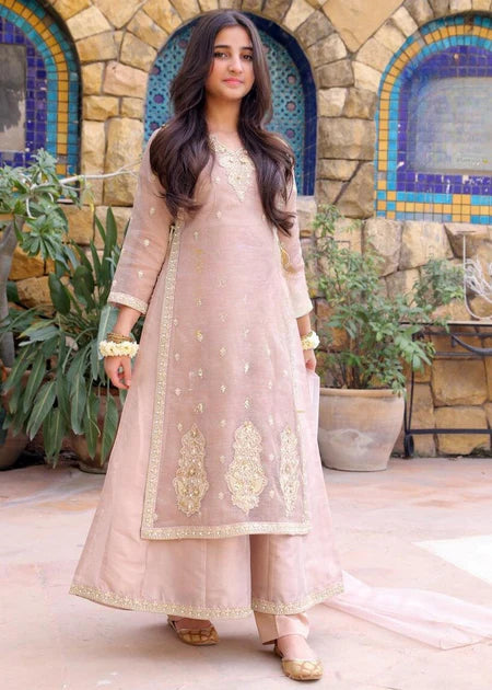 EMBROIDERED CHIFFON STITCHED 3 PIECE DRESS