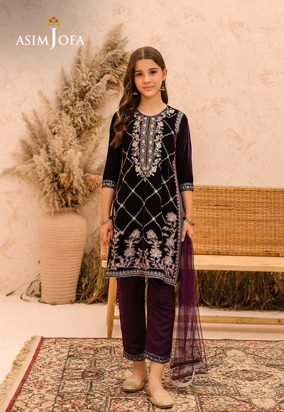 EMBROIDERED VELVET 3 PCS DRESS