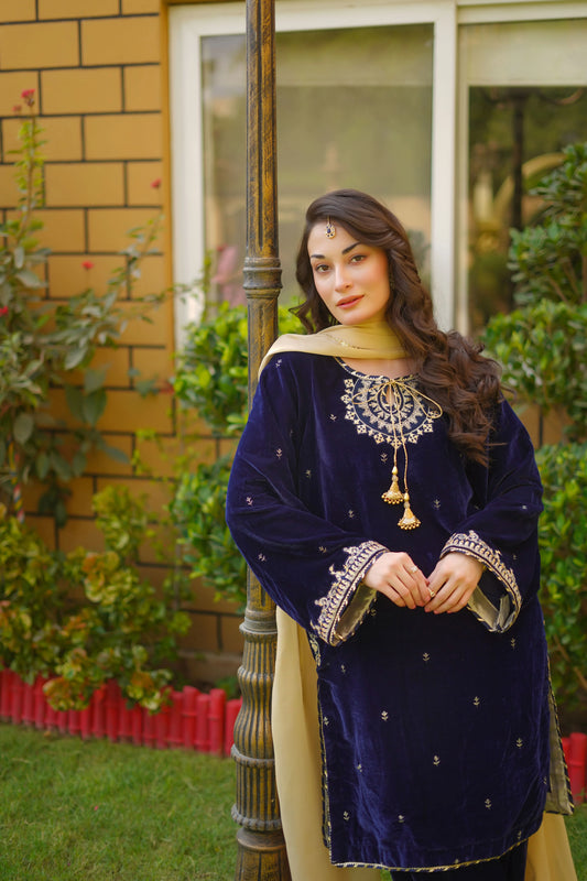 EMBROIDERED VELVET STITCHED 3 PIECE DRESS