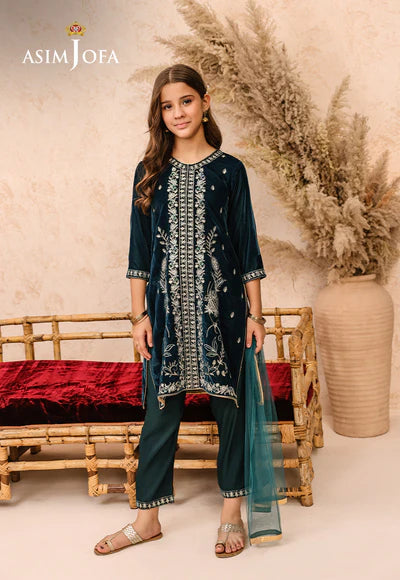 EMBROIDERED VELVET 3 PCS DRESS