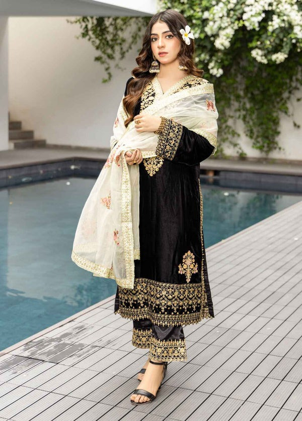 Velvet Elegance – Embroidered Front, Back & Sleeves with Organza Dupatta - Modest fashion for Australian  Pakistani, Indian