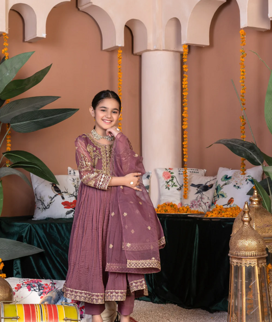 3 Piece Chiffon Festive/Party Wear Dress