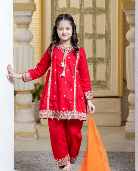 3 Piece Khaddar Festive/Party Wear Dress