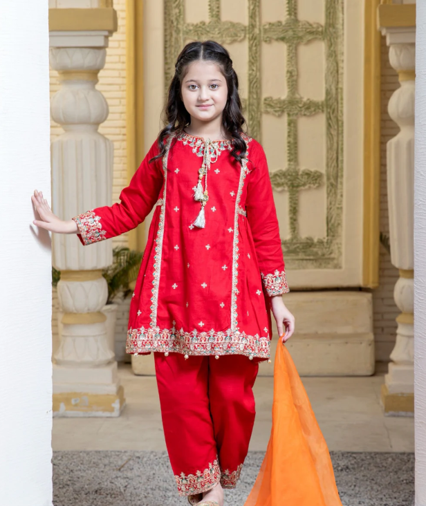 3 Piece Festive/Party Wear Dress