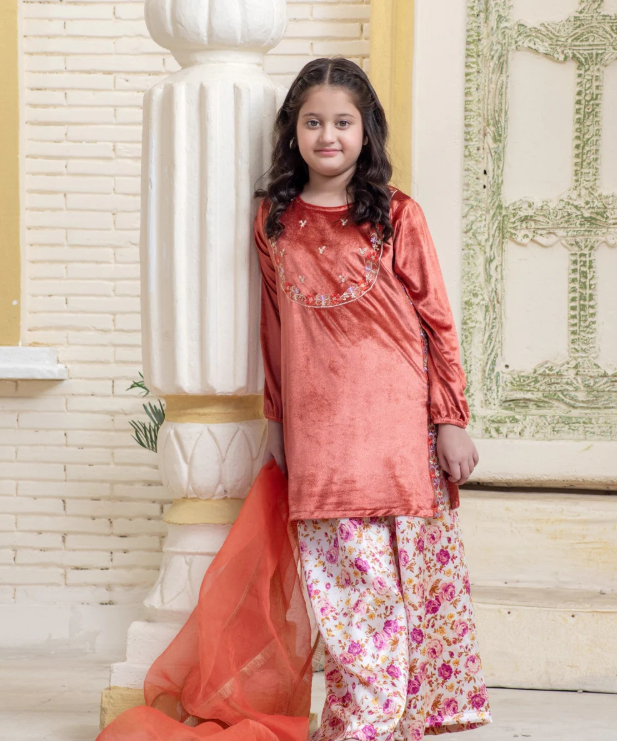3 Piece Velvet Festive/Party Wear in Kurti Style