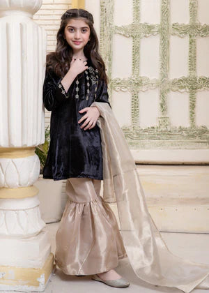 EMBROIDERED VELVET STITCHED 3 PIECE KIDS GARARA DRESS