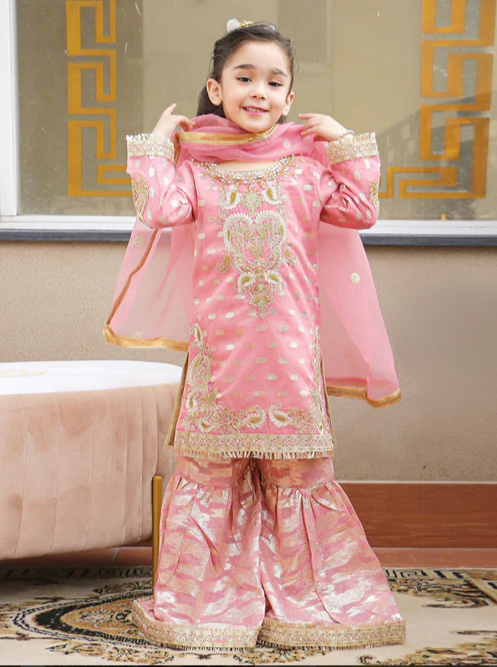 3 Piece Organza Wedding/Guest Wear - Formal
