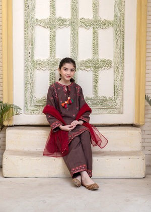 Brown Embroidered Khaddar Straight-Cut Kurta with Shalwar & Net Dupatta – 3 Piece Winter Wear