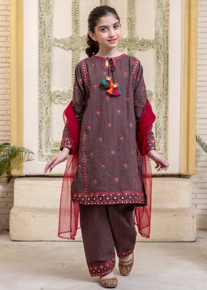 Brown Embroidered Khaddar Straight-Cut Kurta with Shalwar & Net Dupatta – 3 Piece Winter Wear