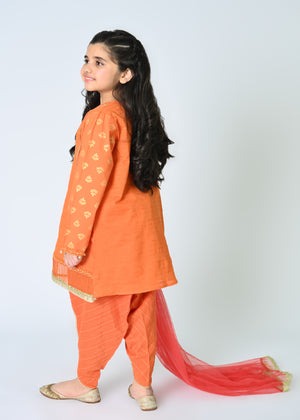 Pumpkin Orange Embroidered Dobby 3-Piece Shalwar Kameez with Net Dupatta – Summer Festive Wear