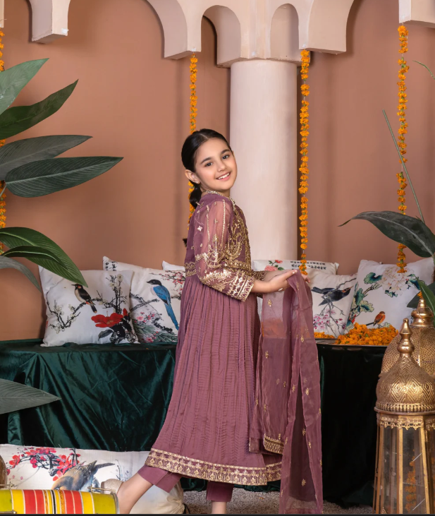 3 Piece Chiffon Festive/Party Wear Dress