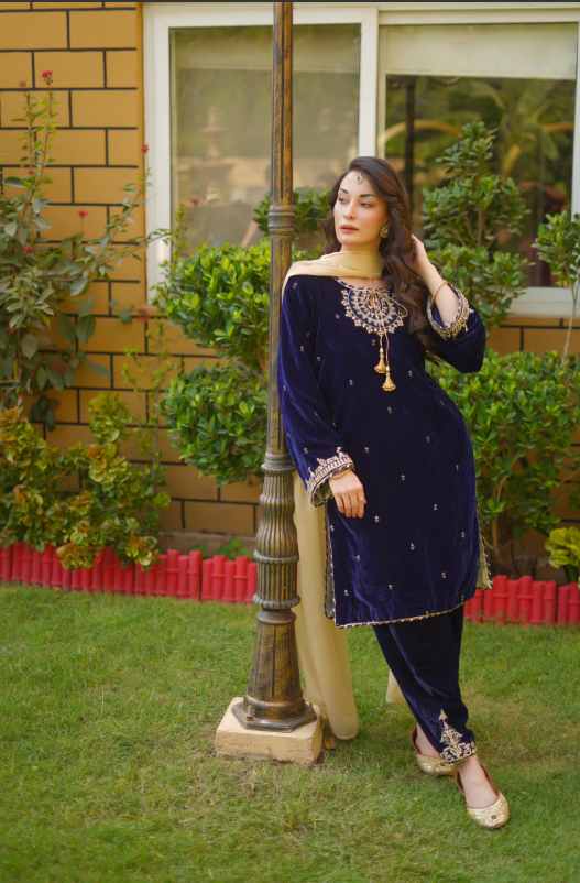 EMBROIDERED VELVET STITCHED 3 PIECE DRESS