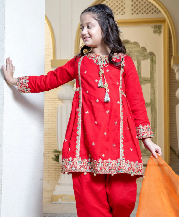 3 Piece Khaddar Festive/Party Wear Dress