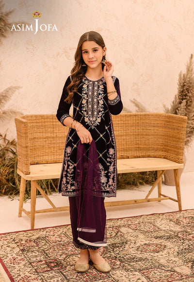 EMBROIDERED VELVET 3 PCS DRESS