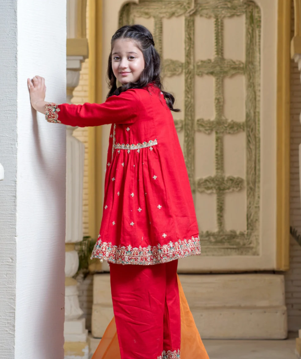 3 Piece Festive/Party Wear Dress