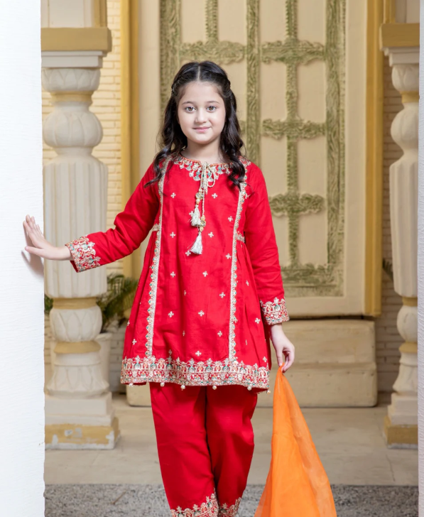 3 Piece Khaddar Festive/Party Wear Dress