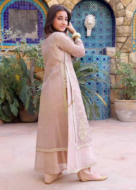 EMBROIDERED CHIFFON STITCHED 3 PIECE DRESS