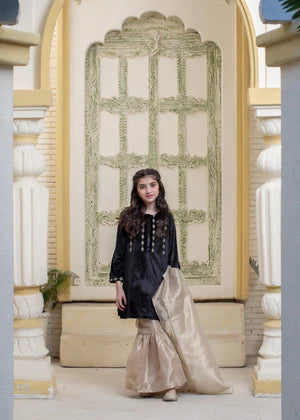 EMBROIDERED VELVET STITCHED 3 PIECE KIDS GARARA DRESS