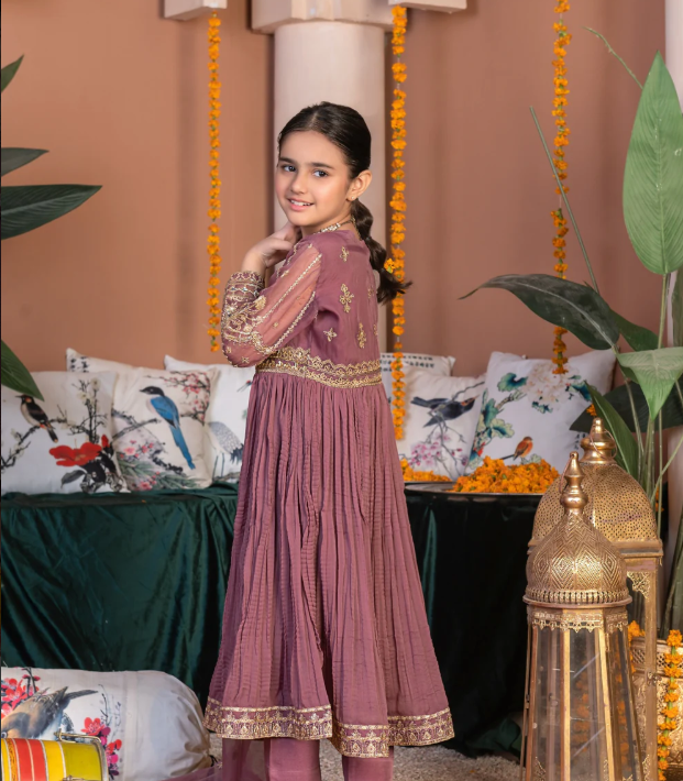 3 Piece Chiffon Festive/Party Wear Dress