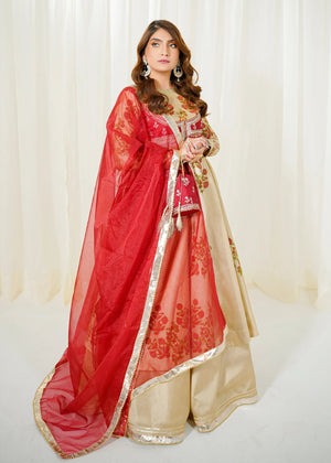 Fancy Bottom Style Flared Lehenga in Organza
